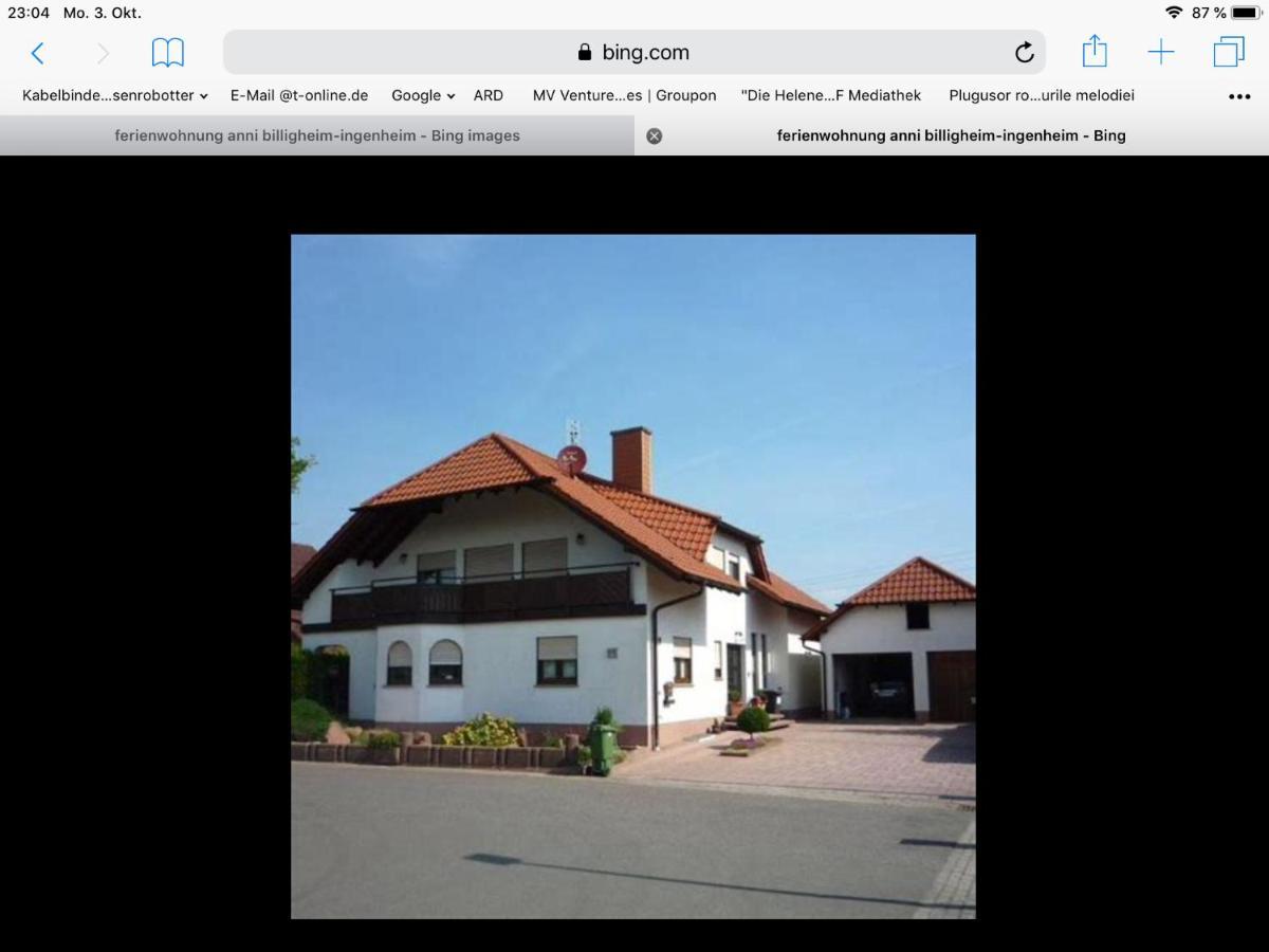 „Ferienwohnung Anni“ Billigheim-Ingenheim Extérieur photo